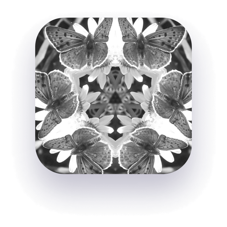 Kaleidoscopic image of butterflies | Hobart counselling | life matters holistic counselling